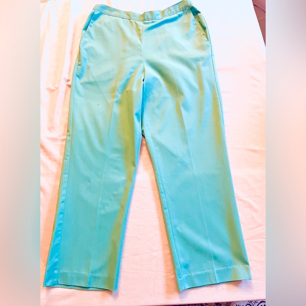 Light green/ Alfred Dunner size 10 pull on pants